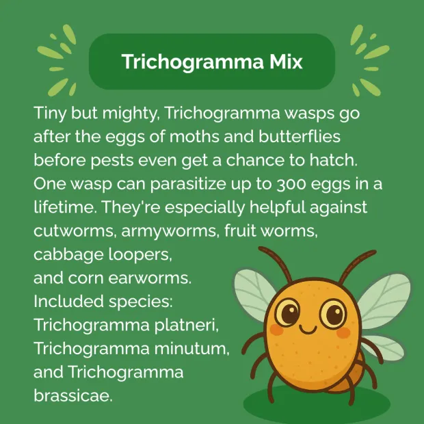 Beneficial Insect Subscription