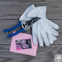 Bloom & Prune Gift Set