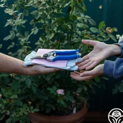 Bloom & Prune Gift Set