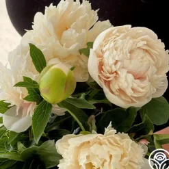 Colonel Owen Cousins