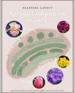 Continuous Bloom Romantic Cottage Bundle