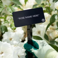 Eleganza® Grande Amore Stake