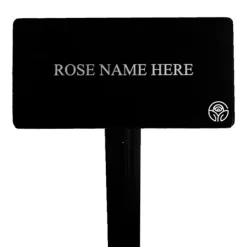 Lady Jane Grey™ Stake