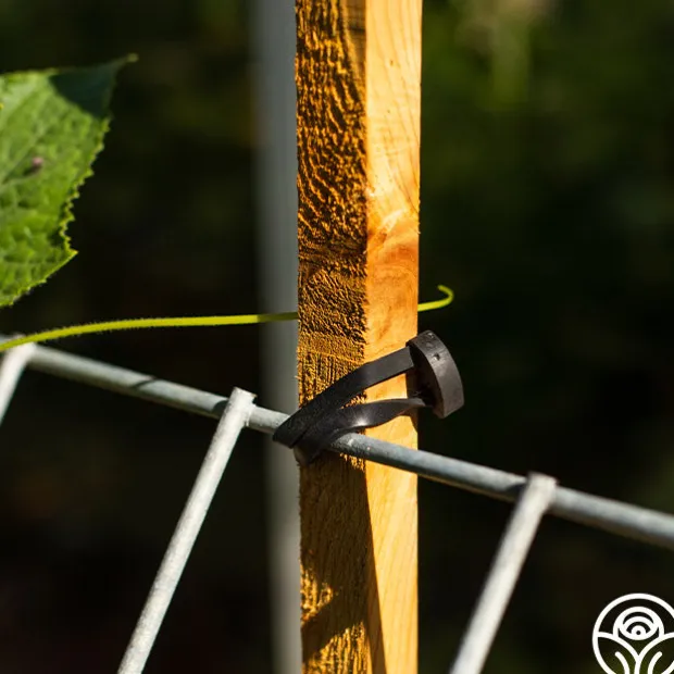 LoopLock Garden Ties