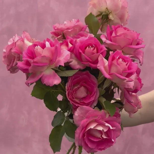 Painted Porcelain™