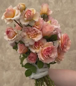 Princesse Charlene de Monaco®