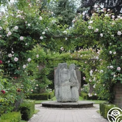 The Generous Gardener™