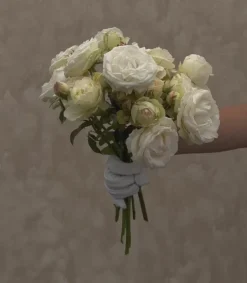 White Eden Climber®