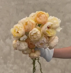 Wollerton Old Hall™